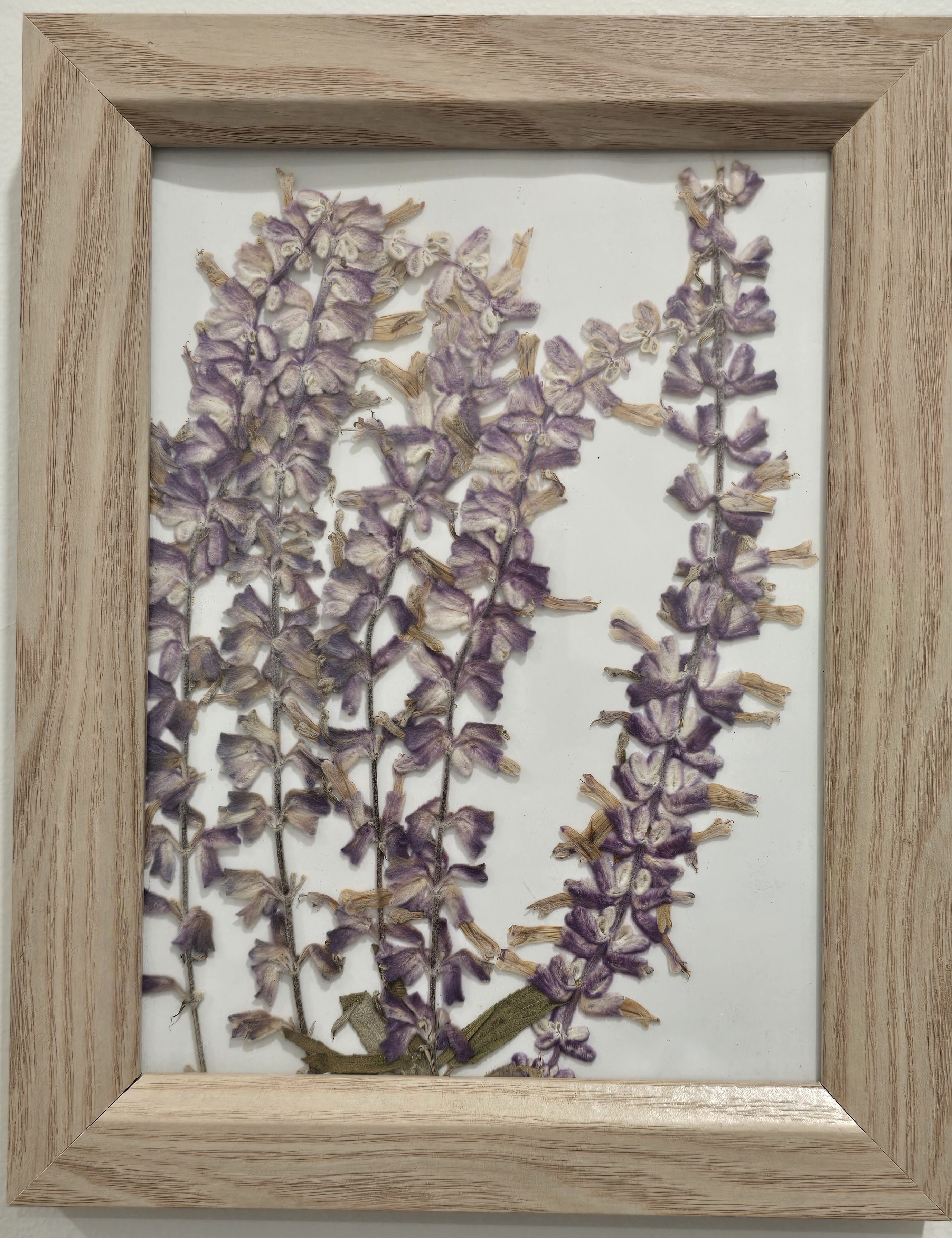 A Little Bloom pressed flower frame